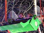 SX25445 Lib and Jenni on ferris wheel at Cardiff Winter Wonderland.jpg